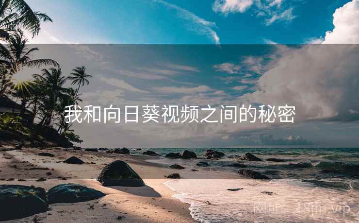 我和向日葵视频之间的秘密